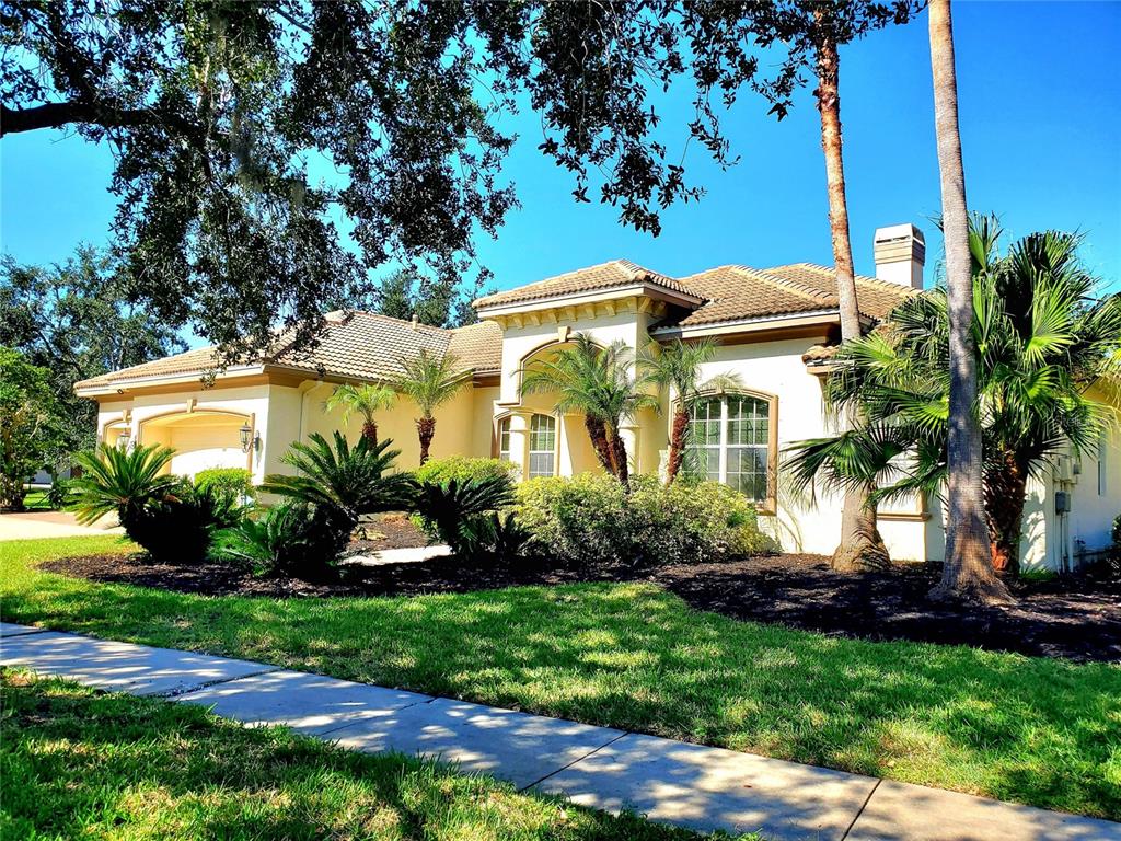 10004 Tree Tops Lake Road Tampa, FL 33626 - Photo 5 of 74 a front view of a house with a yard and potted plants