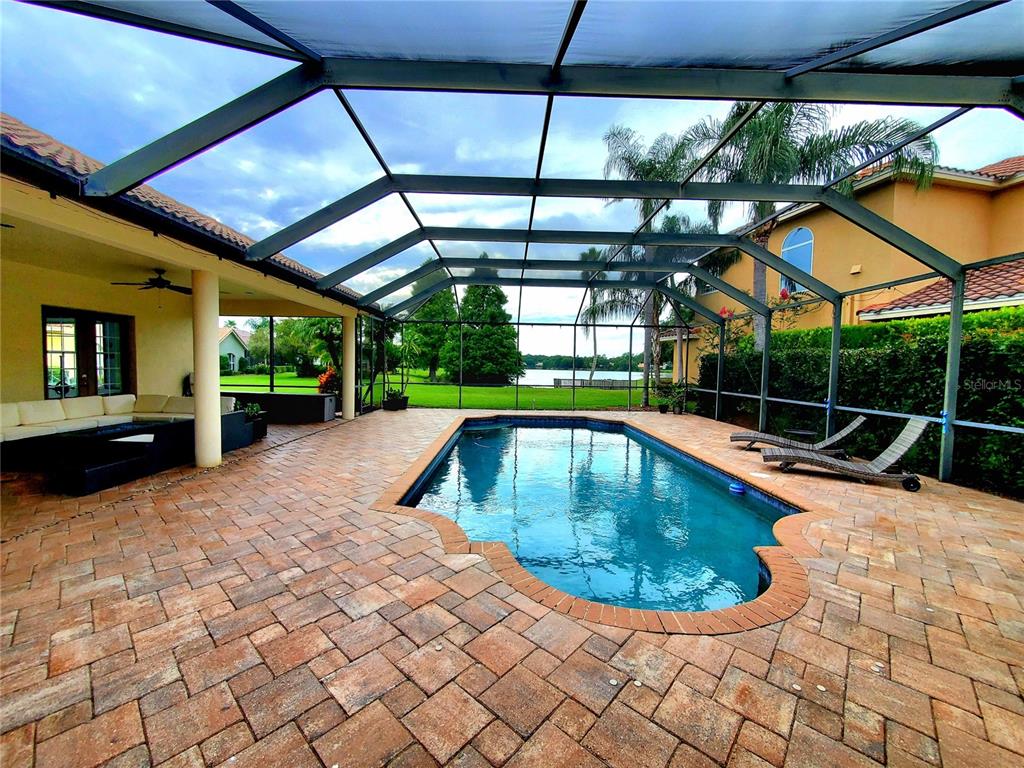 10004 Tree Tops Lake Road Tampa, FL 33626 - Photo 59 of 74 a view of a swimming pool with a patio