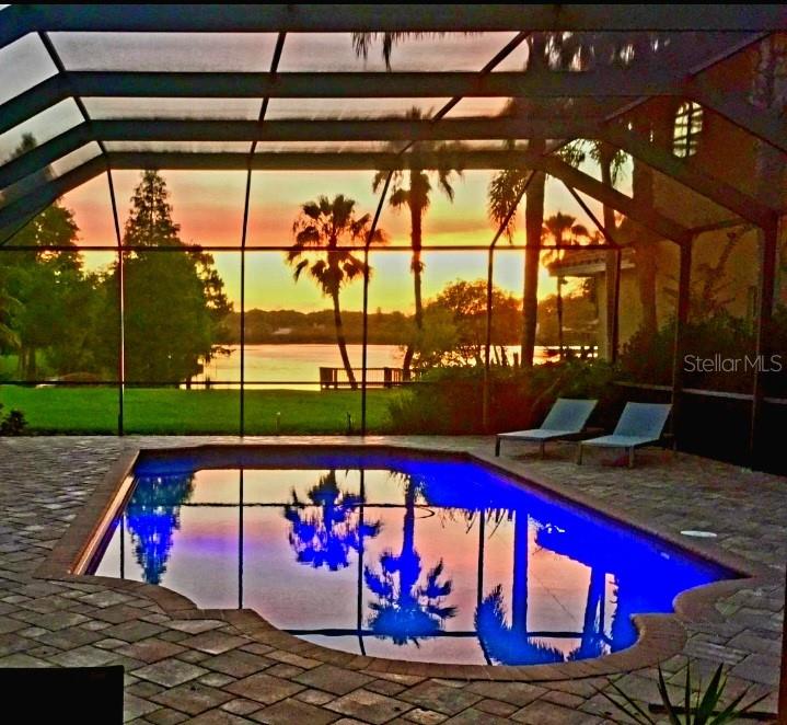 10004 Tree Tops Lake Road Tampa, FL 33626 - Photo 61 of 74 a view of swimming pool with a patio