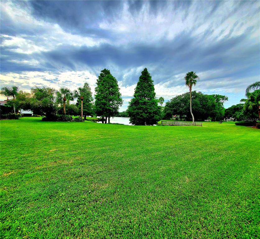 10004 Tree Tops Lake Road Tampa, FL 33626 - Photo 62 of 74 a backyard of a house with lots of green space and garden view