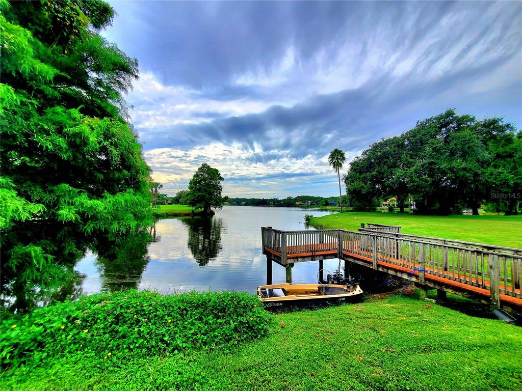 10004 Tree Tops Lake Road Tampa, FL 33626 - Photo 64 of 74