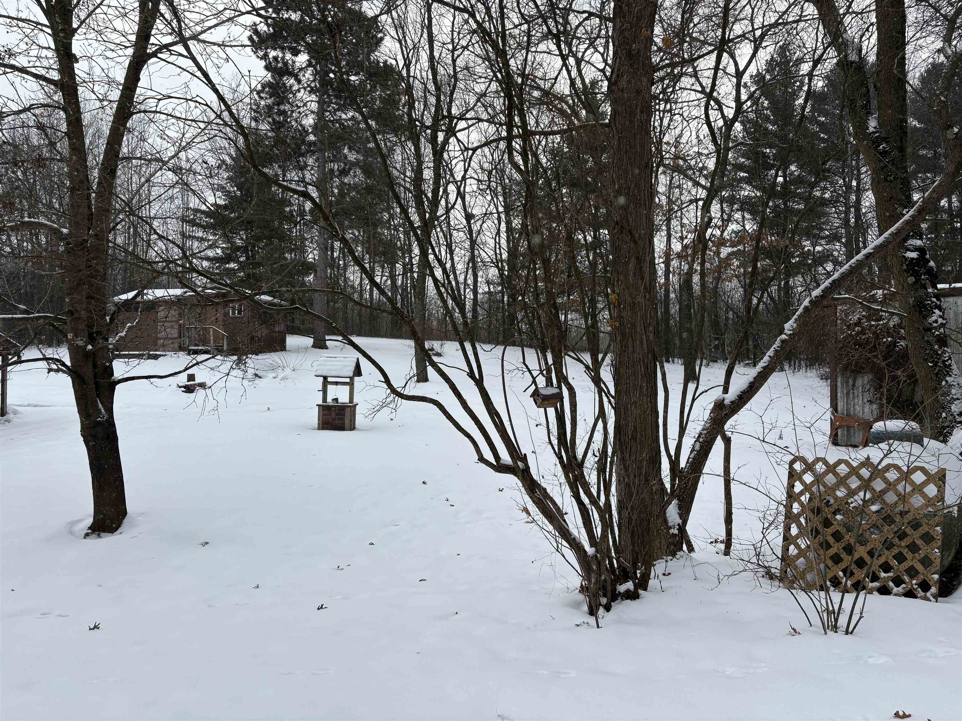 10124 Highway 22 Wild Rose, WI 54984 - Photo 31 of 41