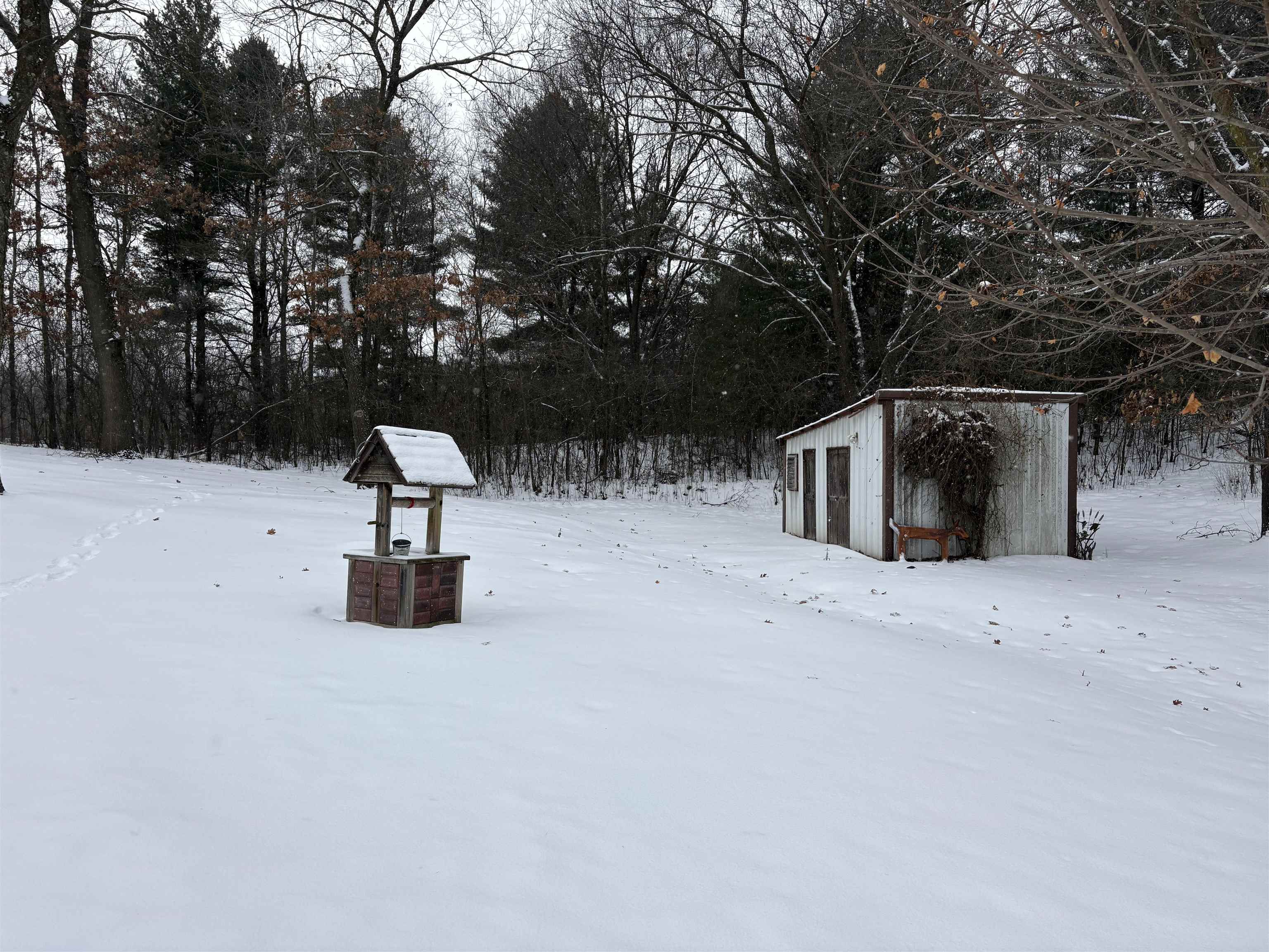 10124 Highway 22 Wild Rose, WI 54984 - Photo 32 of 41