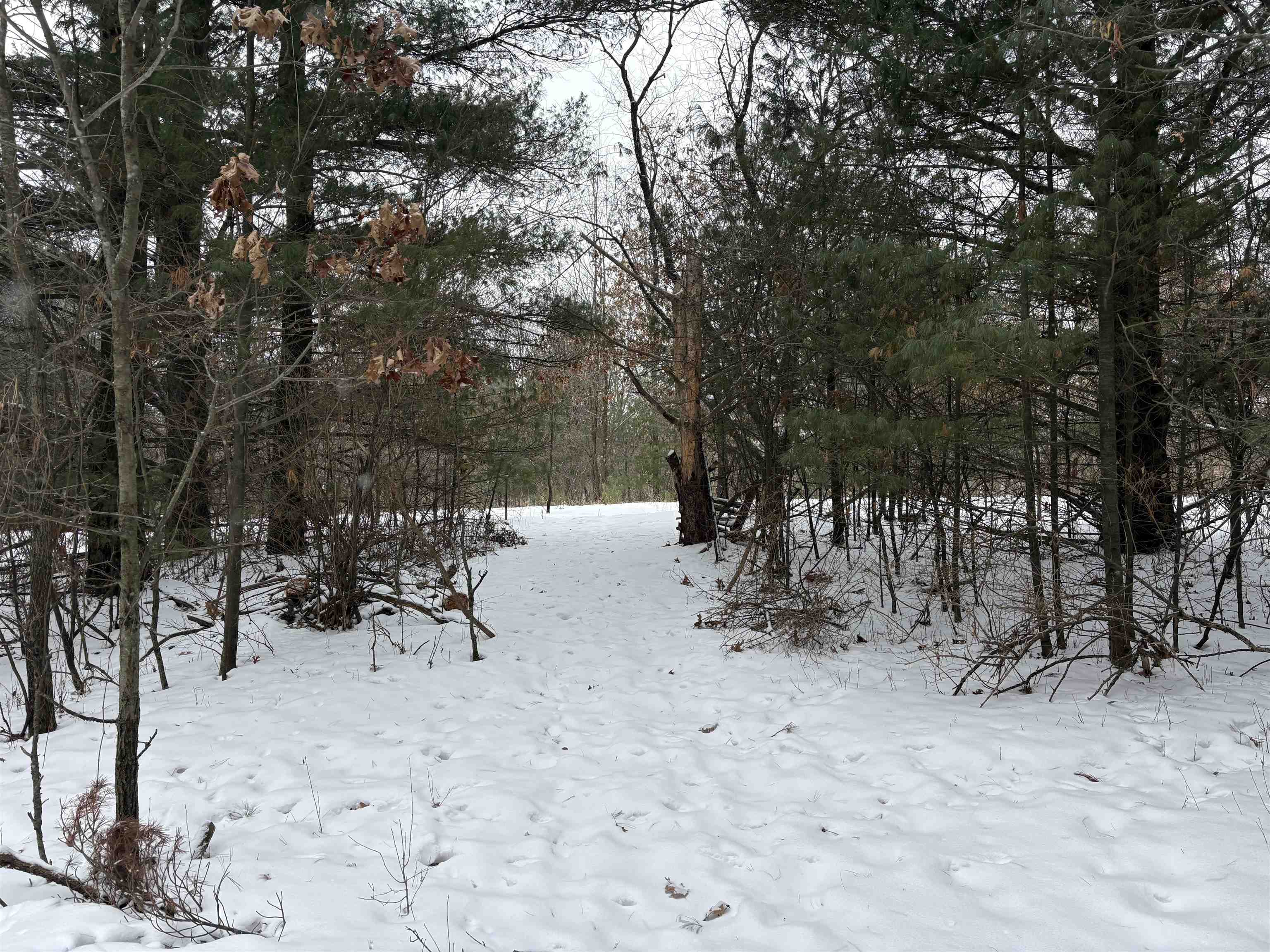 10124 Highway 22 Wild Rose, WI 54984 - Photo 34 of 41