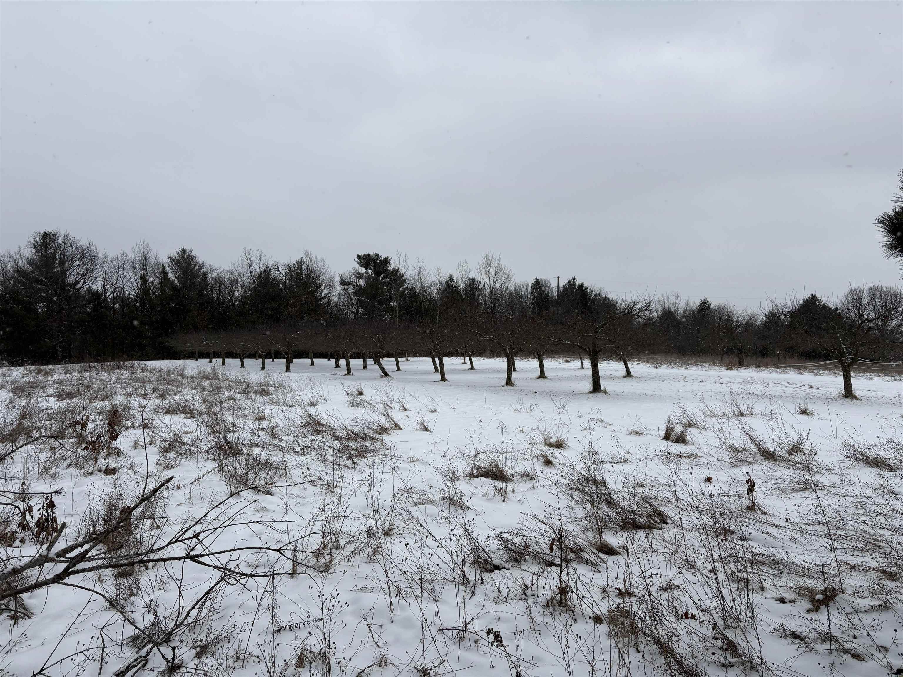 10124 Highway 22 Wild Rose, WI 54984 - Photo 39 of 41