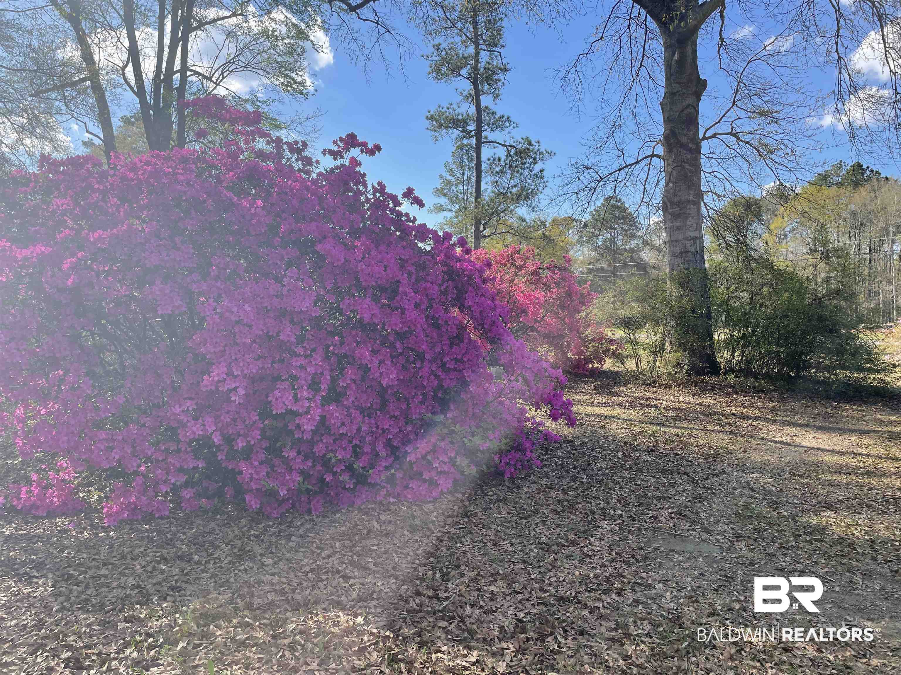 98 White Road Brewton, AL 36426 - Photo 45 of 49