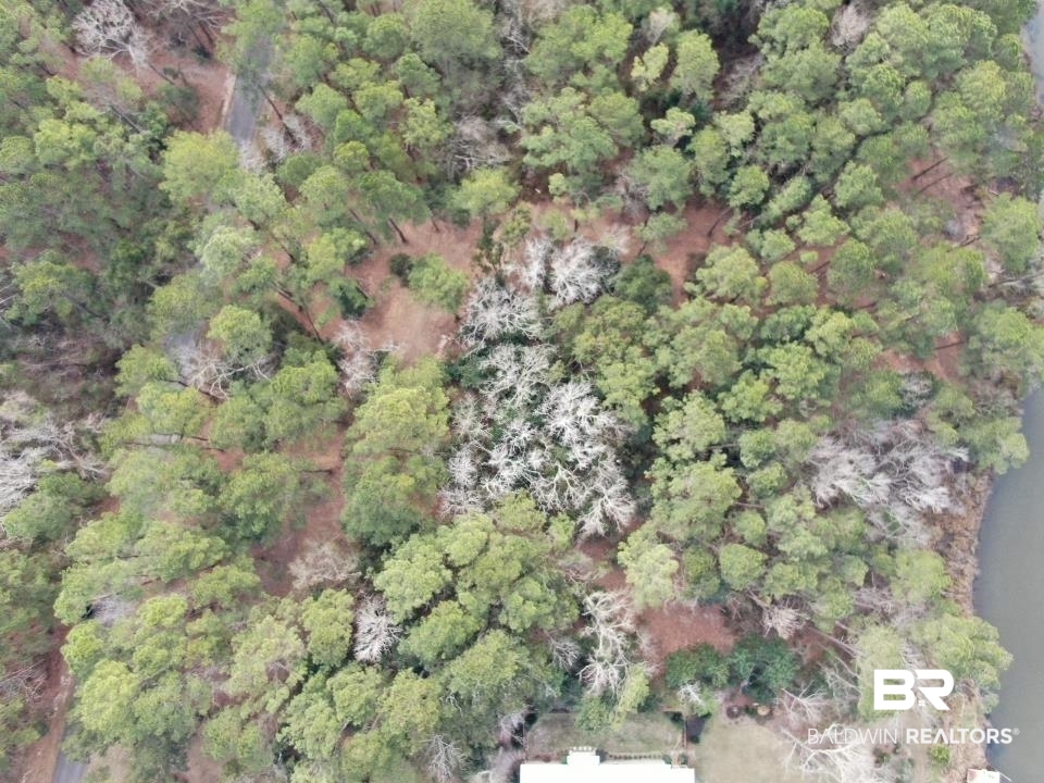 Riverview Nursery Road Theodore, AL 36582 - Photo 20 of 24