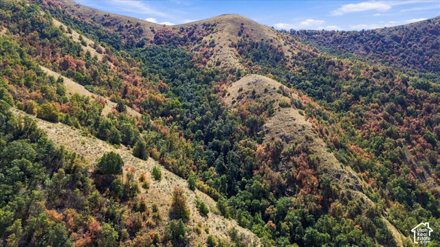 2855 East Canyon Road Richmond, UT 84333 - Photo 12 of 17 Natural terrain featuring varied foliage and rolling hills
