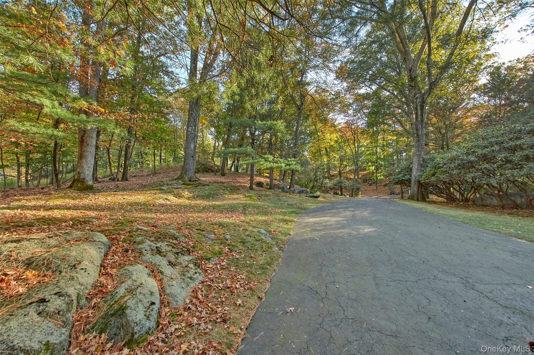 71 Commodore Road Chappaqua, NY 10514 - Photo 34 of 39 a view of a yard with a tree