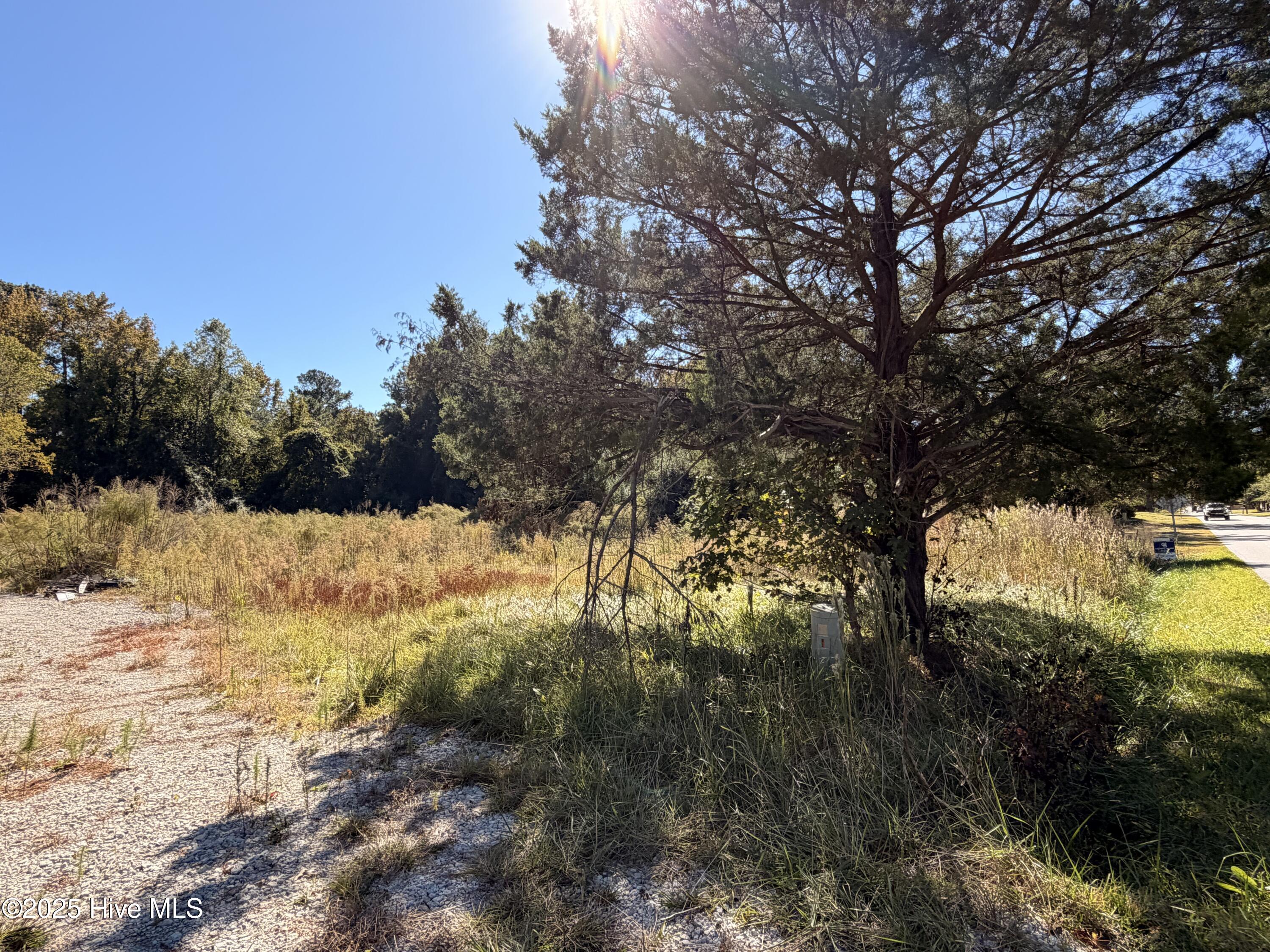 127 Verona Road Jacksonville, NC 28540 - Photo 2 of 7 IMG_0069