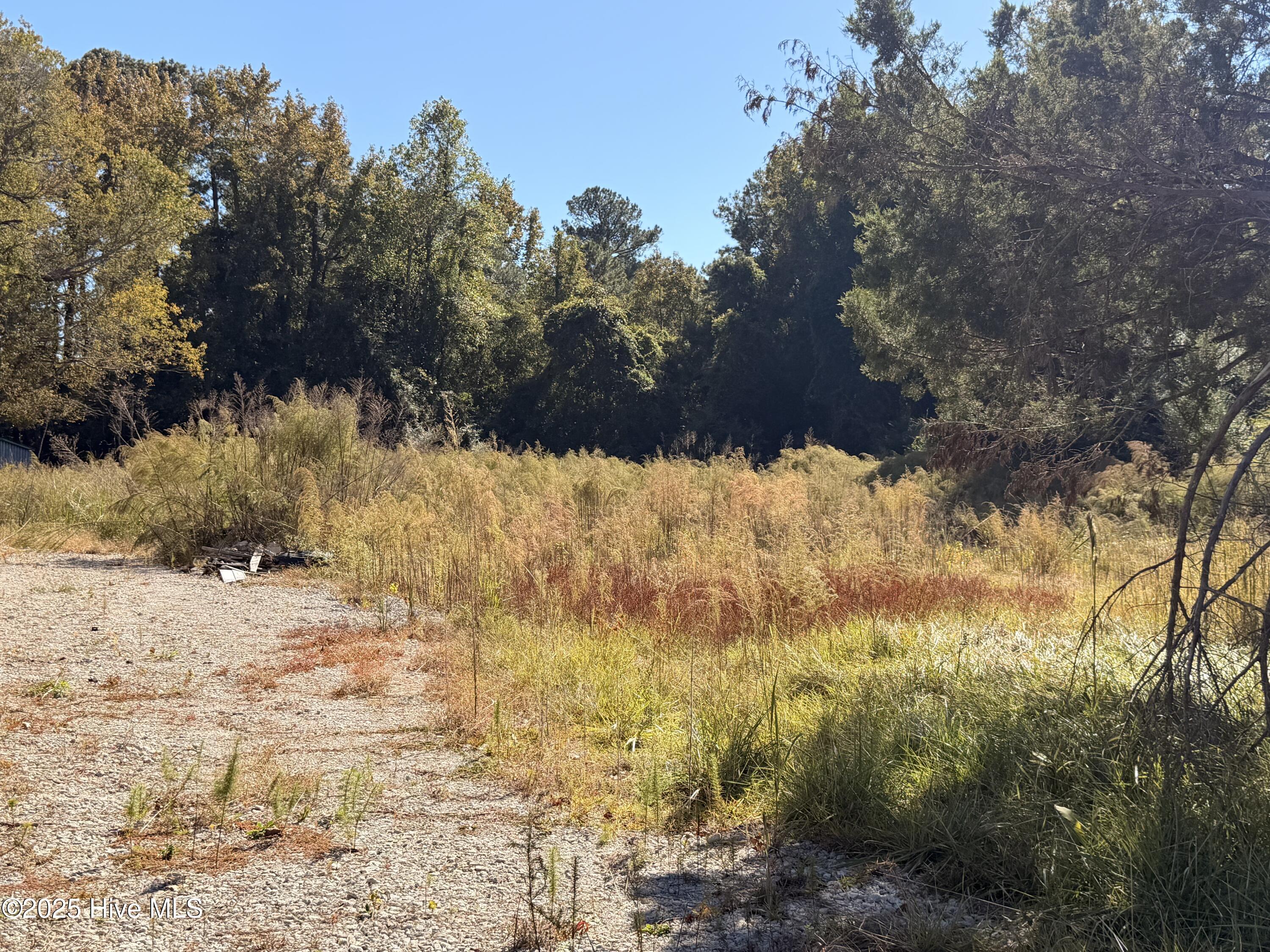 127 Verona Road Jacksonville, NC 28540 - Photo 5 of 7 IMG_0066