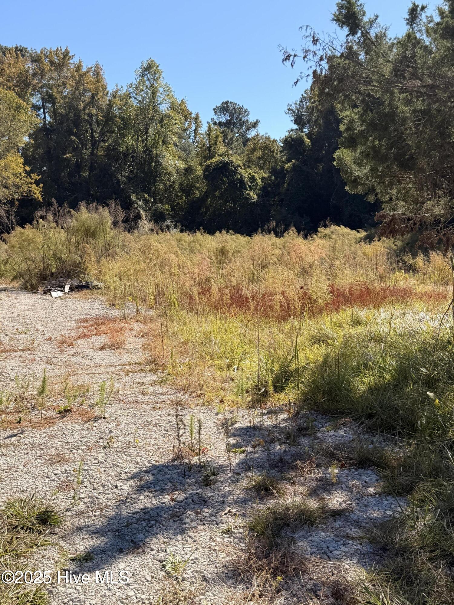 127 Verona Road Jacksonville, NC 28540 - Photo 6 of 7 IMG_0065