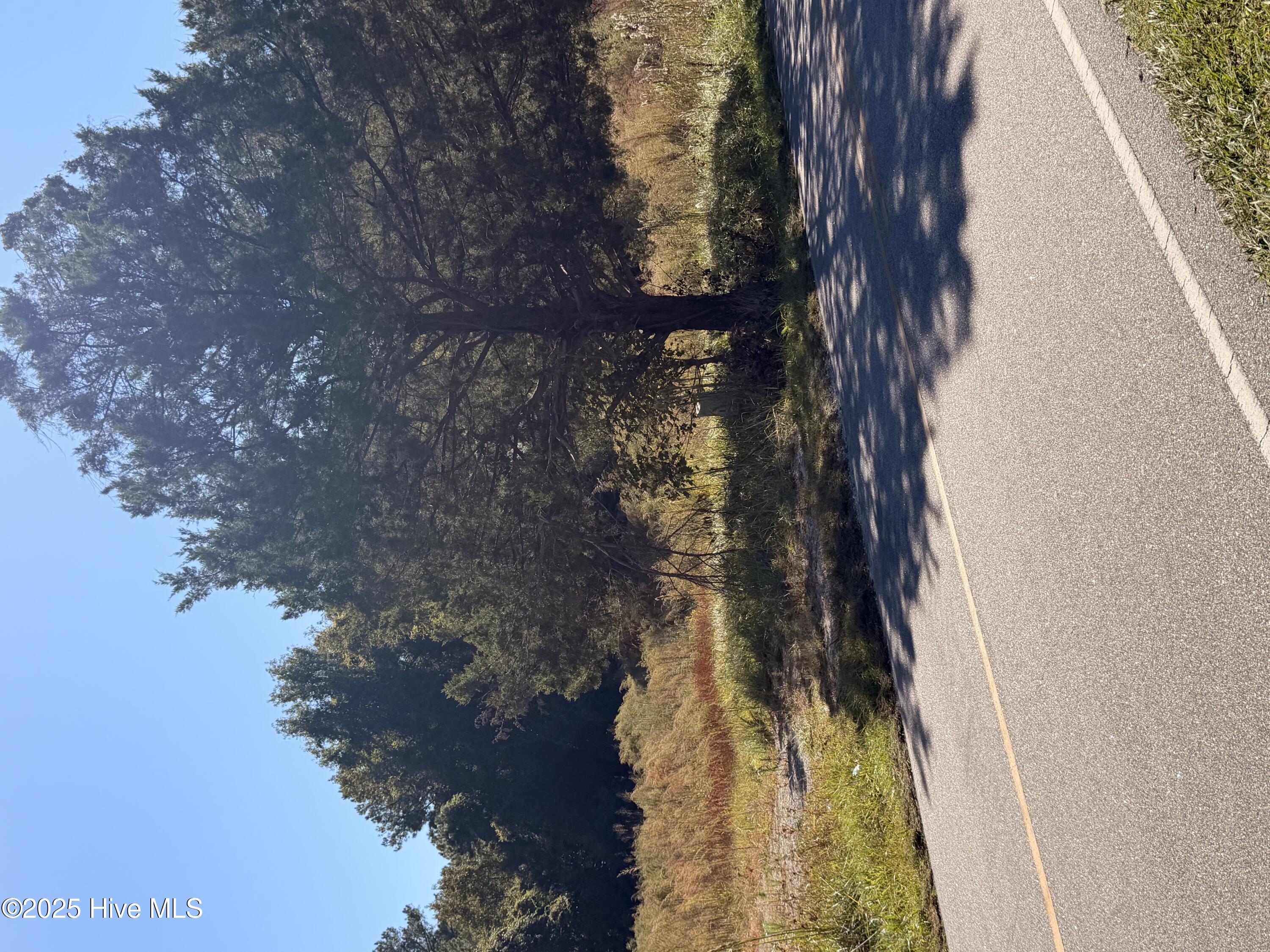 127 Verona Road Jacksonville, NC 28540 - Photo 7 of 7 IMG_0064