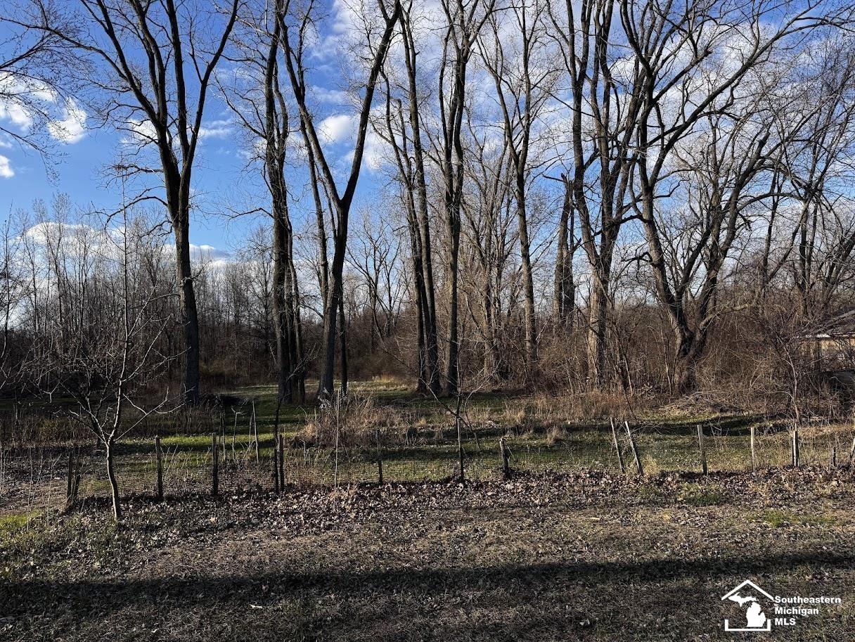 2642 Samaria Road Temperance, MI 48182 - Photo 15 of 16