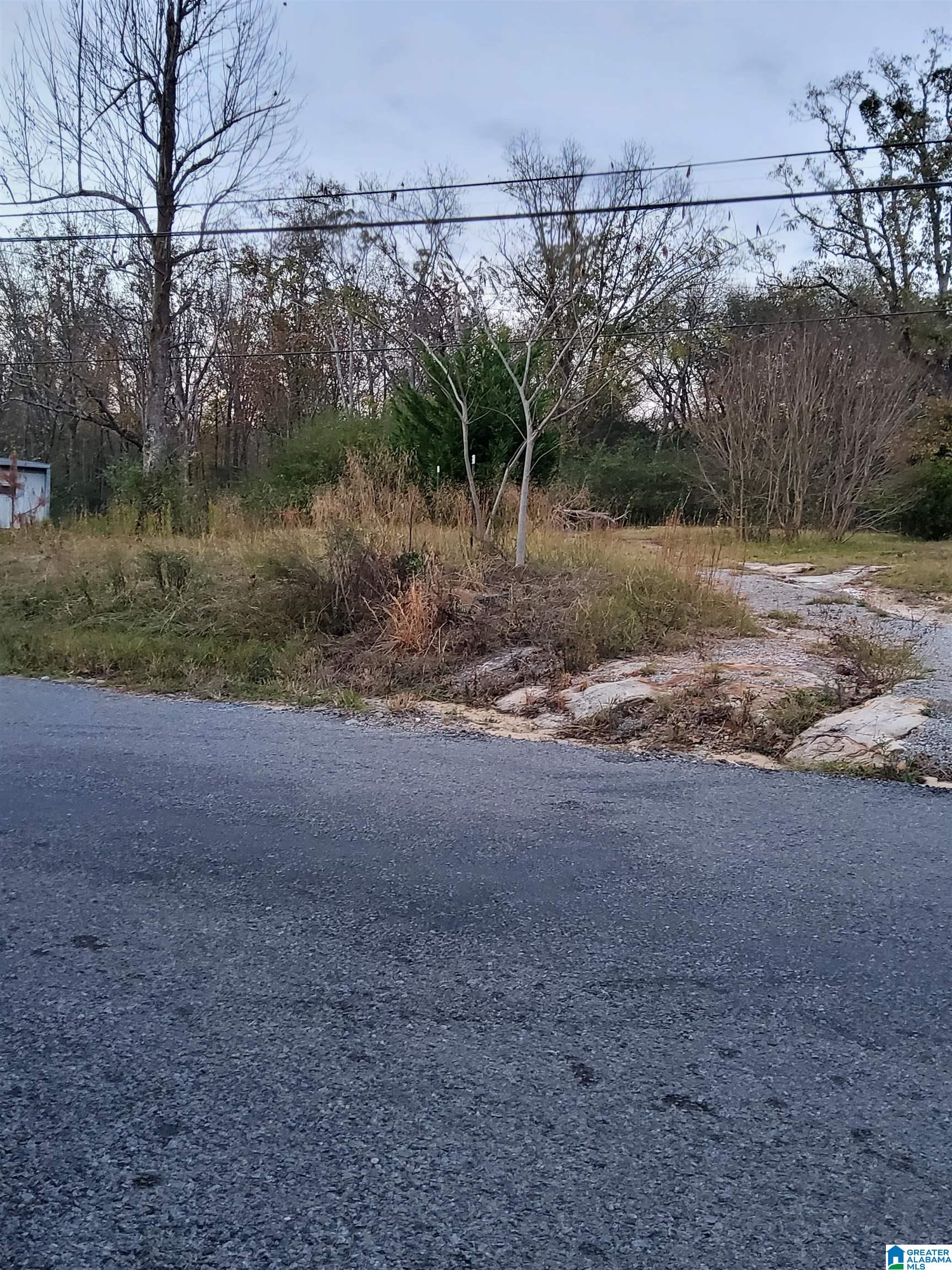 310 Oscar Bradford Road, Unit 2 Warrior, AL 35180 - Photo 6 of 7