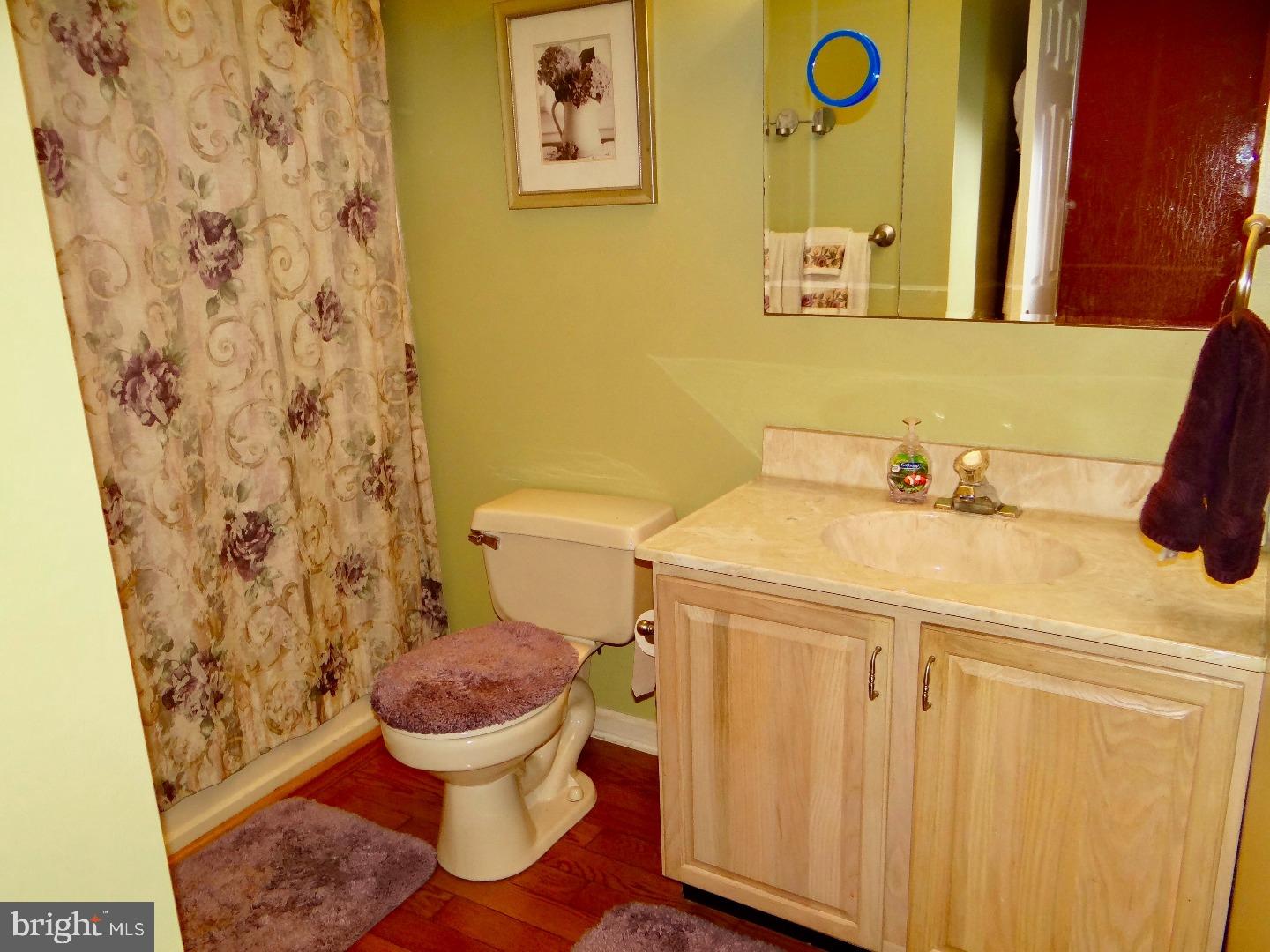 741 Rutland Court Sewell, NJ 08080 - Photo 18 of 25 Bathroom