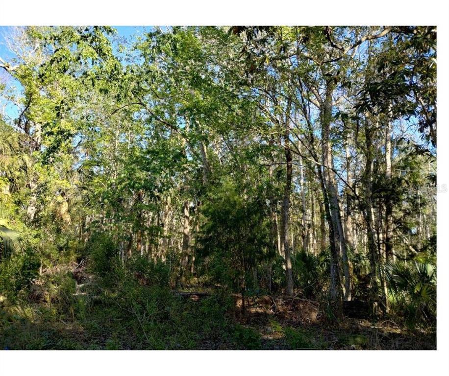 Indian Bay Rd Spring Hill Spring Hill, FL 34607 - Photo 1 of 8