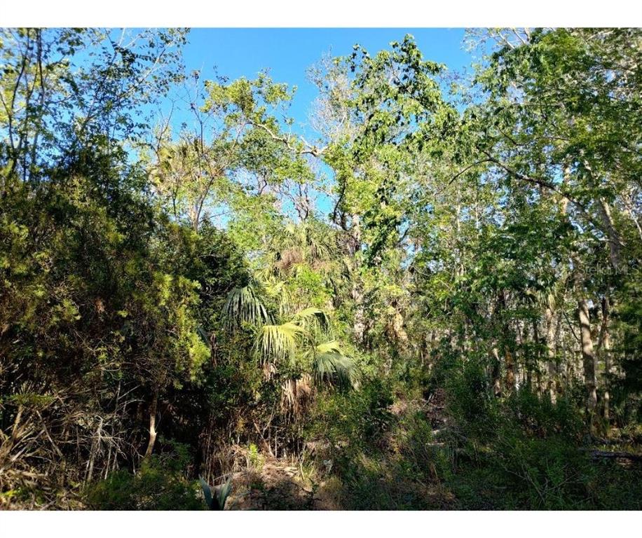 Indian Bay Rd Spring Hill Spring Hill, FL 34607 - Photo 2 of 8