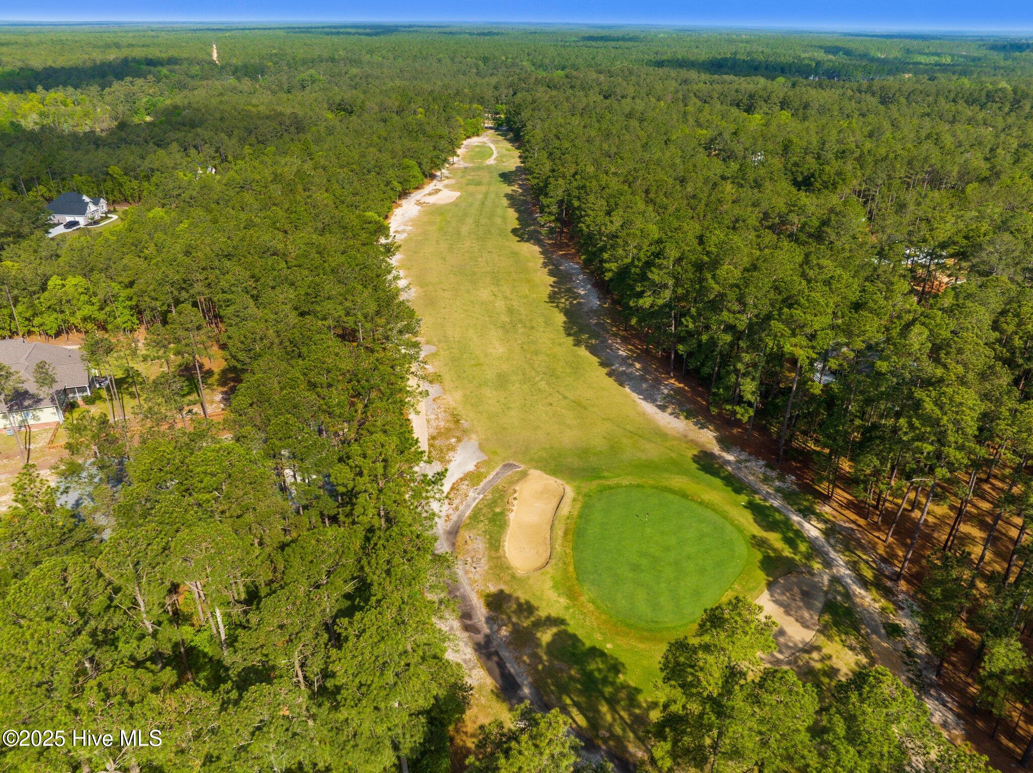 Lot 12 Lakeshore Drive Wagram, NC 28396 - Photo 5 of 8 Deercroft Golf