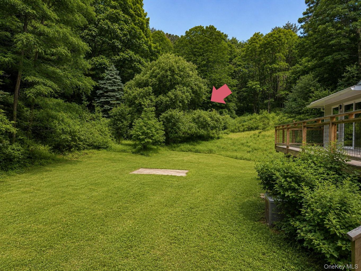 117 Camp Road Red Hook, NY 12571 - Photo 45 of 50 Approximate cottage building site