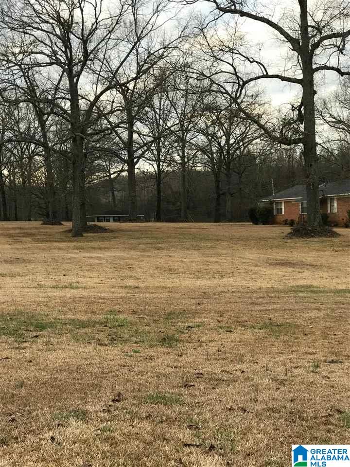 1547 Fulton Gap Road Sylacauga, AL 35150 - Photo 6 of 46