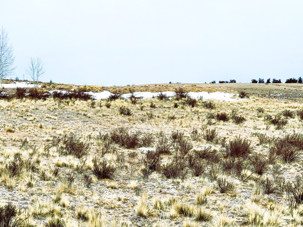 53 Cobb Lane Como, CO 80456 - Photo 12 of 37