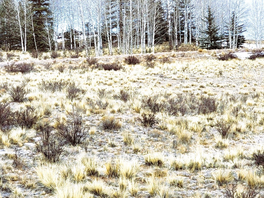 53 Cobb Lane Como, CO 80456 - Photo 13 of 37 a view of road with a building