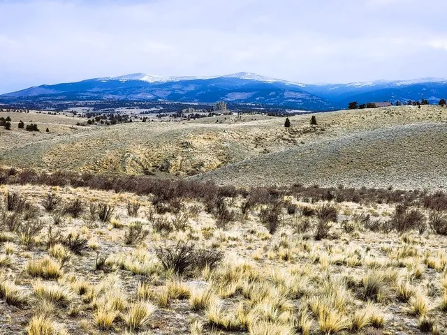 a view of a dry field