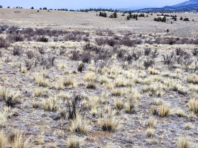 a view of a snow on a beach