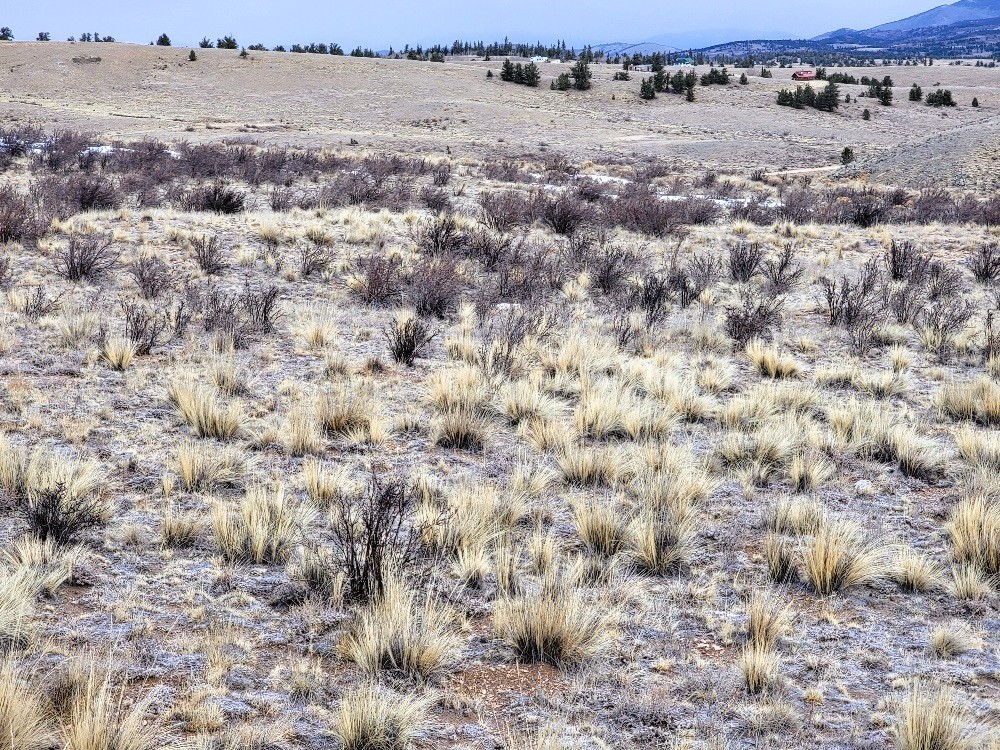 53 Cobb Lane Como, CO 80456 - Photo 20 of 37 a view of a field
