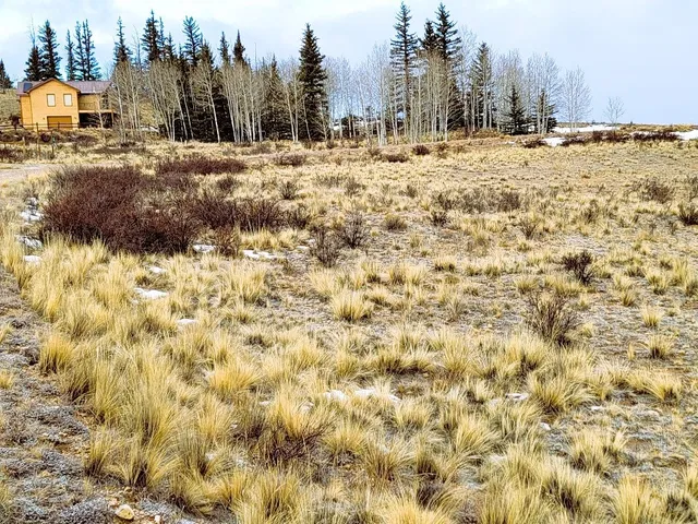 a view of an ocean and a mountain