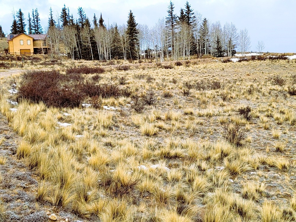 53 Cobb Lane Como, CO 80456 - Photo 2 of 37