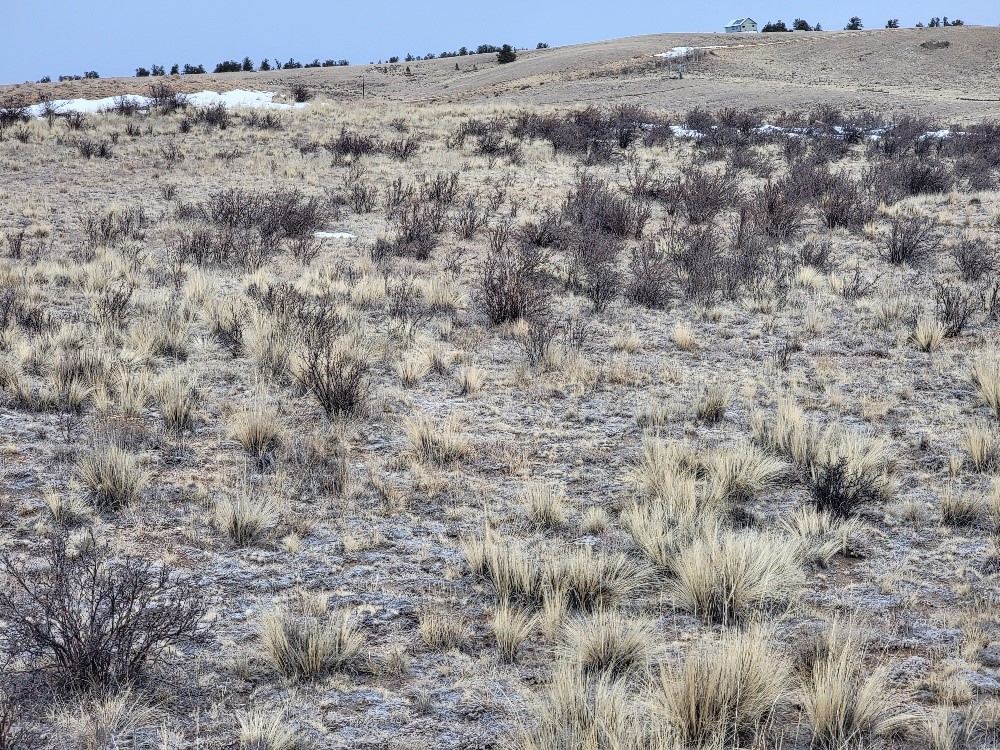 53 Cobb Lane Como, CO 80456 - Photo 22 of 37 a view of a dry field