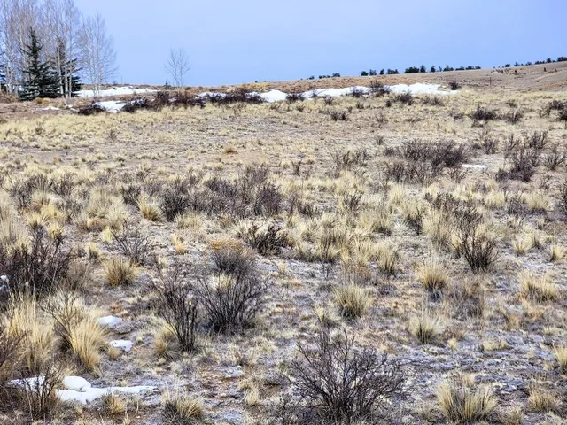 a view of a town with snow on the road