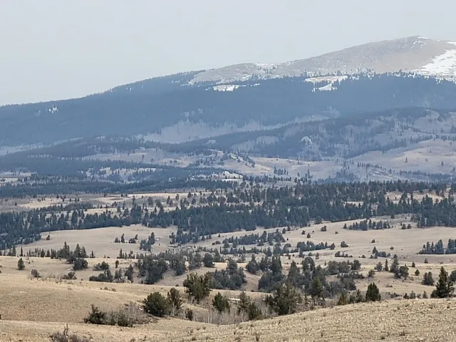 a view of a dry yard with a mountain