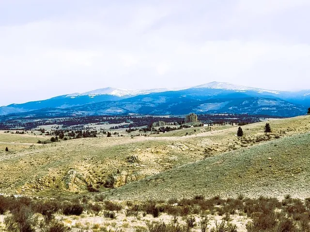 a view of a town with mountains in the background