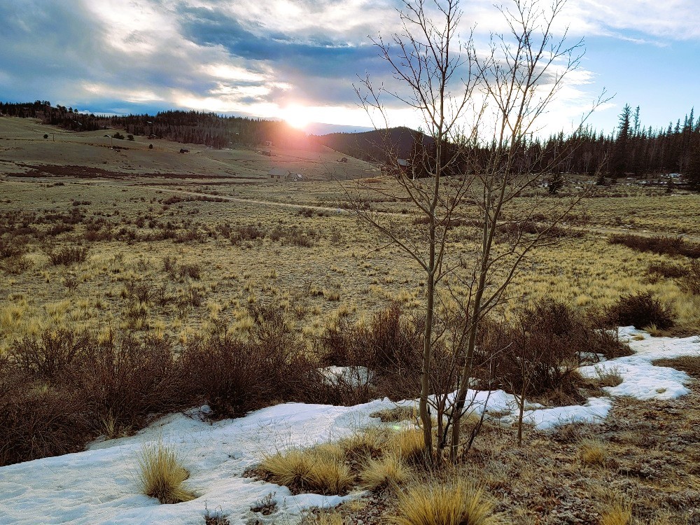 53 Cobb Lane Como, CO 80456 - Photo 7 of 37 a view of a yard with an outdoor space