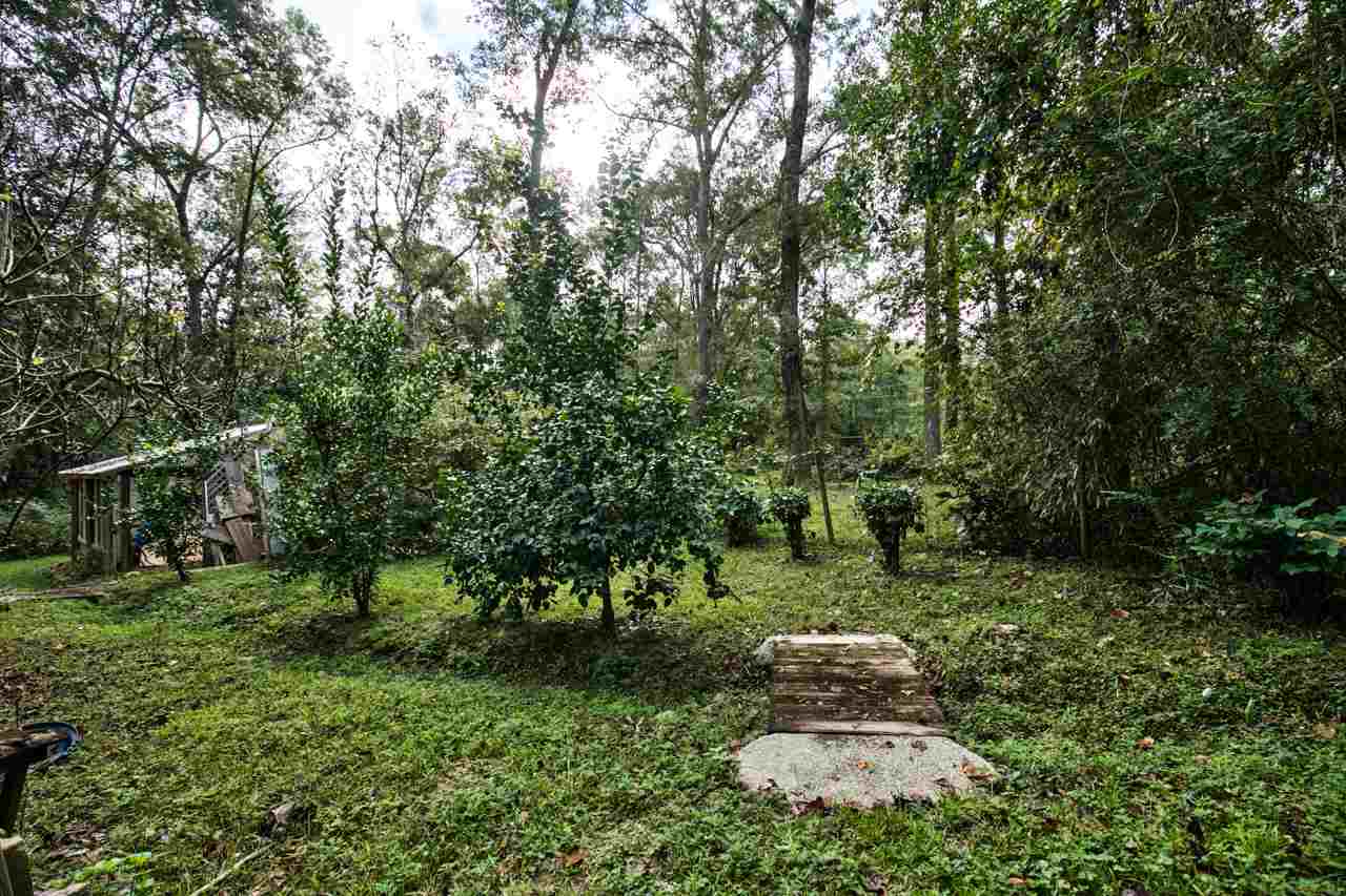 651 Tyre Road Havana, FL 32333 - Photo 3 of 30 Gallery Image 3