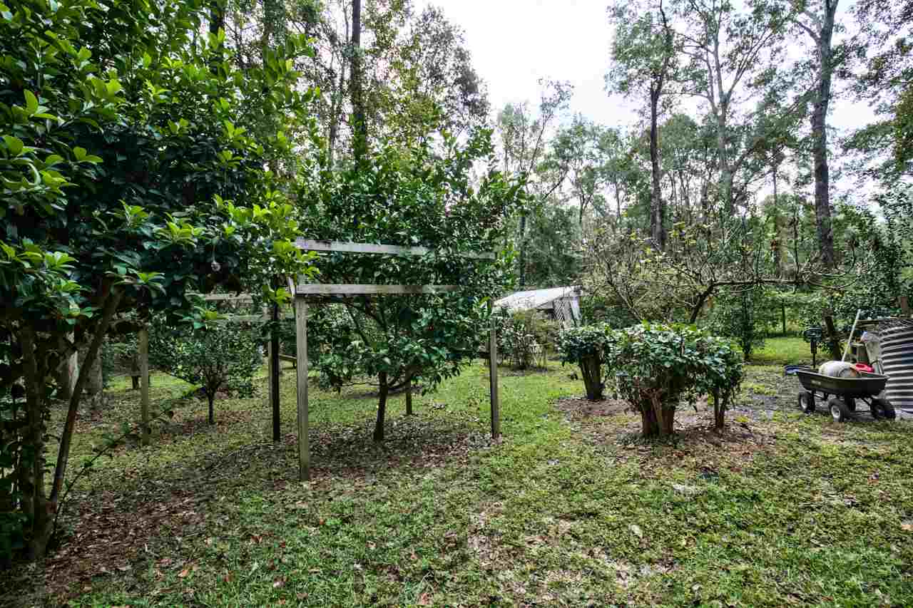 651 Tyre Road Havana, FL 32333 - Photo 4 of 30 Gallery Image 4