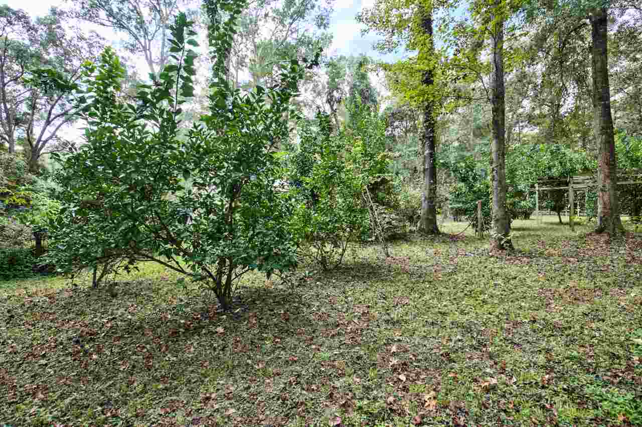 651 Tyre Road Havana, FL 32333 - Photo 5 of 30 Gallery Image 5