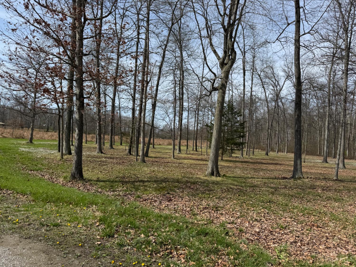 7212 Kelch Road Sardinia, OH 45171 - Photo 82 of 90