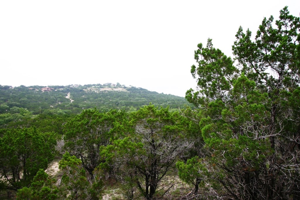 18308 West Reed Park Road Jonestown, TX 78645 - Photo 1 of 1 a view of a green field