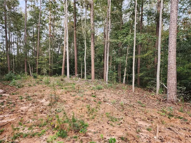 $56,400 | 0 Morris Trail, Carnesville, GA 30521