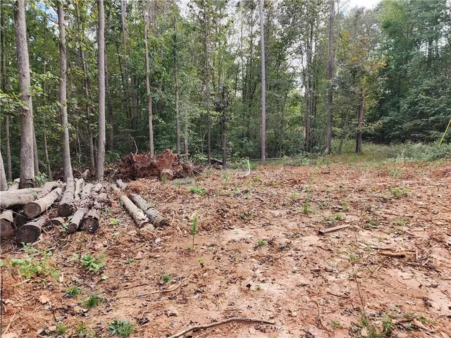 $56,400 | 0 Morris Trail, Carnesville, GA 30521