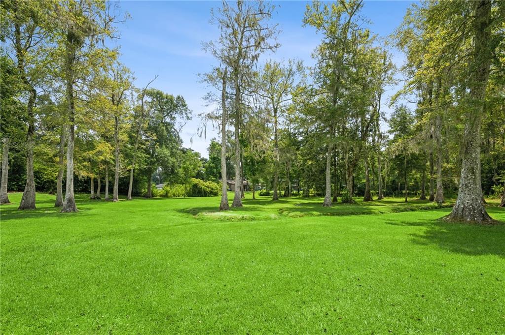 39211 Keaghey Road Ponchatoula, LA 70454 - Photo 6 of 9