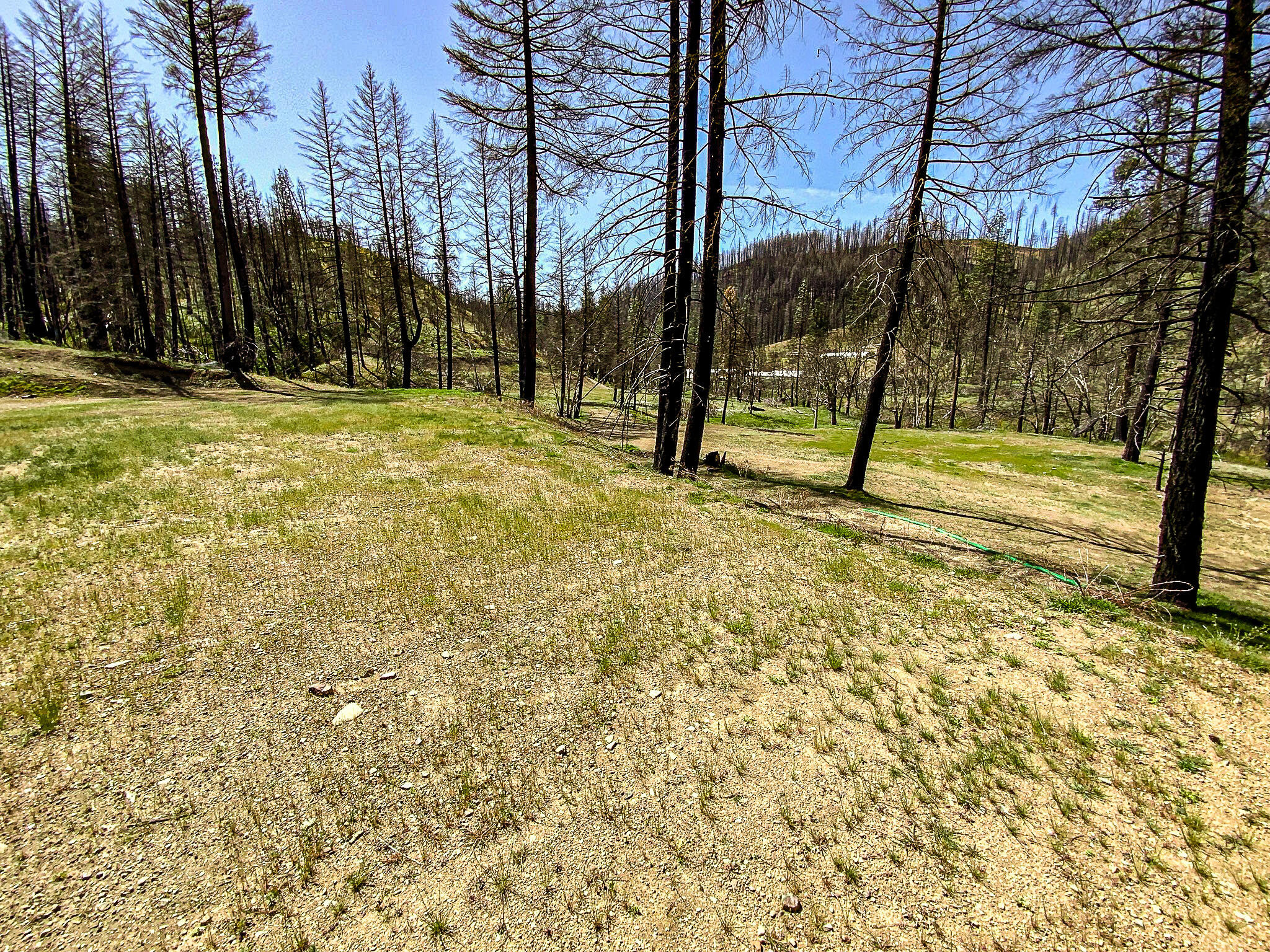 26670 Upper Mad River Road Mad River, CA 95552 - Photo 6 of 21 26670 Mad River Road (4)