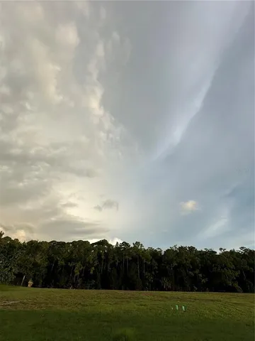 a view of grassy field with mountain