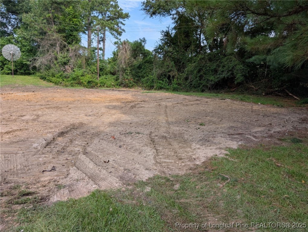 1003 Fayetteville Road Raeford, NC 28376 - Photo 3 of 6 a view of a field with plants and trees