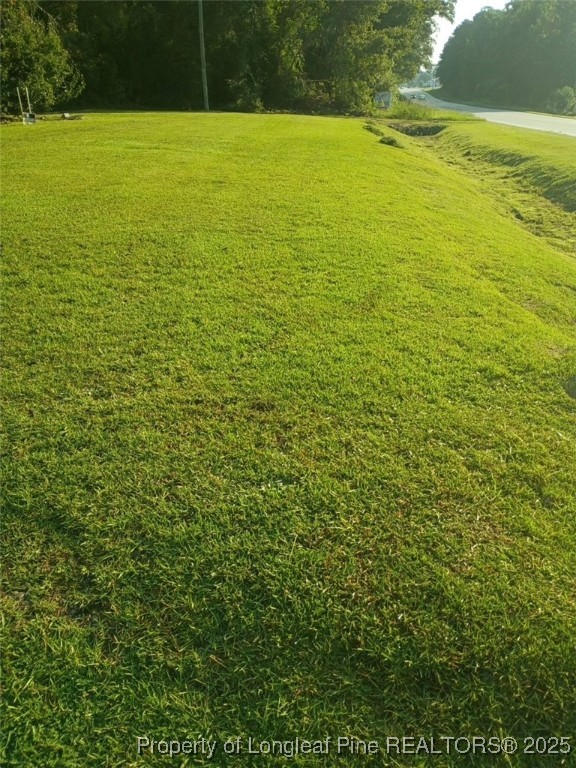 1003 Fayetteville Road Raeford, NC 28376 - Photo 4 of 6 a view of an ocean yard