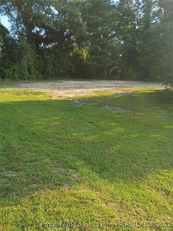 1003 Fayetteville Road Raeford, NC 28376 - Photo 6 of 6 a view of a yard